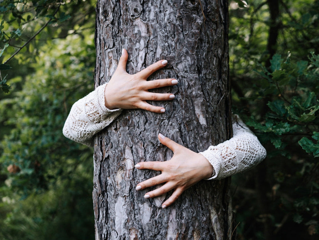 Grounding Rituals for When Life Is Shifting