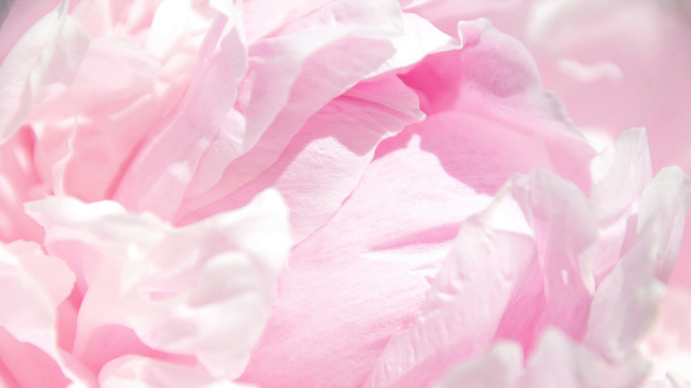 Libra Season: Embrace Balance + Beauty