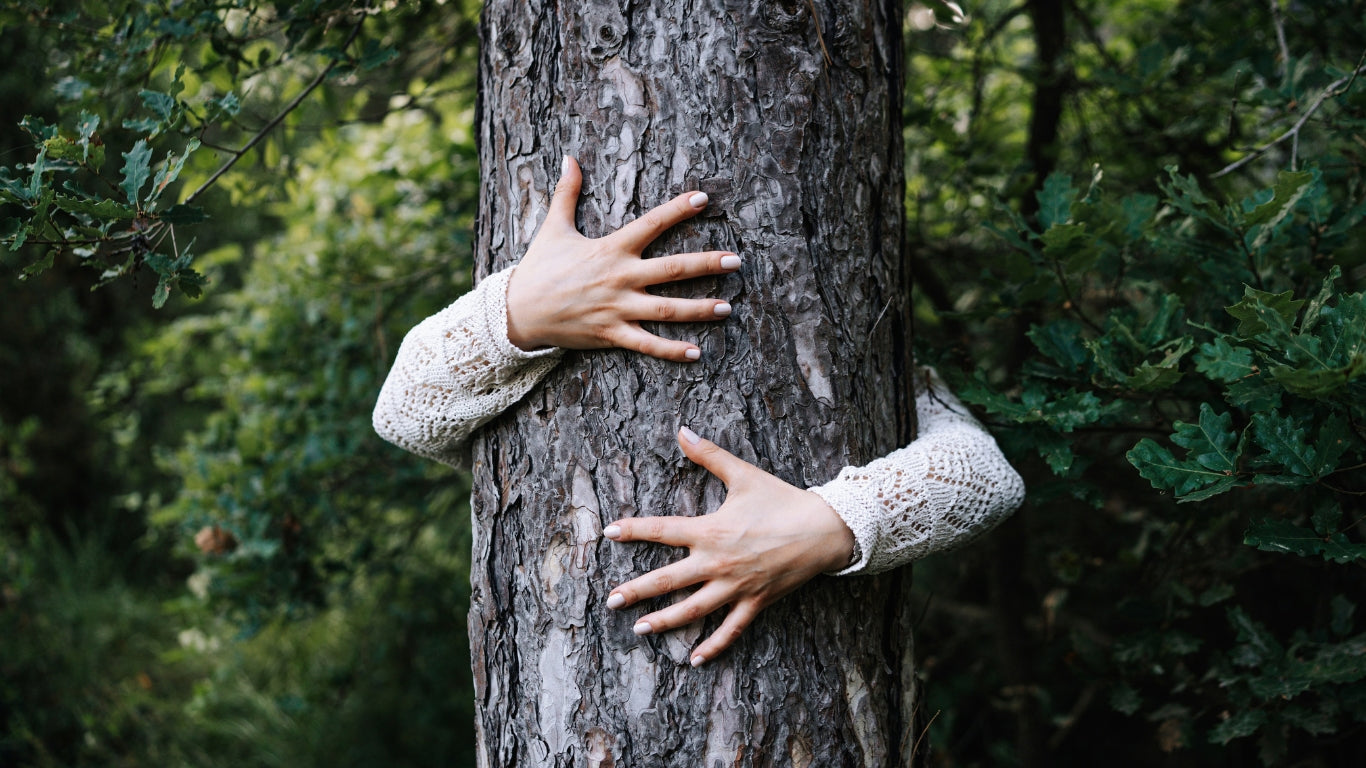 Grounding Rituals for When Life Is Shifting